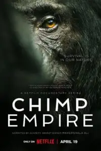 Chimp empire 2023 season 1 - vegamovies, VegaMoviesv.com