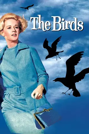 The birds 1963 poster - vegamovies, VegaMoviesv.com