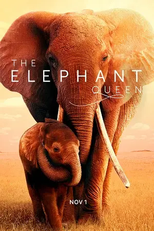 The elephant queen 2019 - vegamovies, VegaMoviesv.com