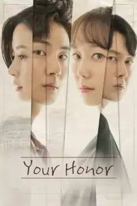 Your honor hindi dubbed - vegamovies, VegaMoviesv.com