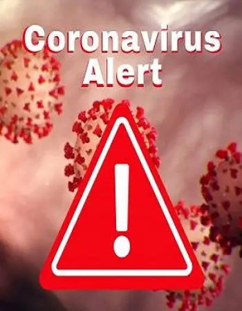 Coronavirus virus spreads covid 19 - vegamovies, VegaMoviesv.com