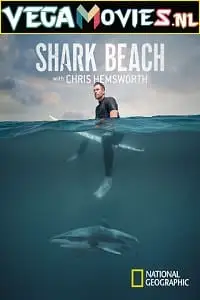 2qfvyt1 - vegamovies, VegaMoviesv.com