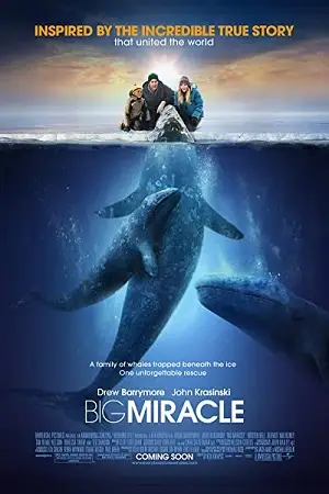 Big miracle hindi dubbed - vegamovies, VegaMoviesv.com