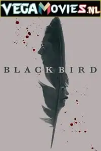Black bird 2022 season 1 - vegamovies, VegaMoviesv.com
