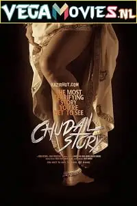 Chudail story 2016 poster - vegamovies, VegaMoviesv.com