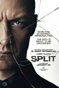 Download split dual audio hindi english 720p - vegamovies, VegaMoviesv.com