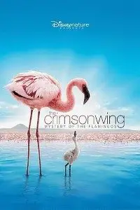 Download the crimson wing mystery of the flamingos 2008 - vegamovies, VegaMoviesv.com