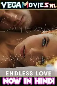 Endless love 2014 poster - vegamovies, VegaMoviesv.com