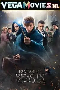 Fantastic beasts and where to find them 2016s - vegamovies, VegaMoviesv.com