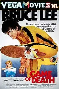 Game of death 1978 hindi - vegamovies, VegaMoviesv.com