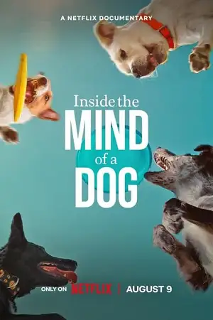 Inside the mind of a dog - vegamovies, VegaMoviesv.com