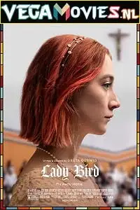 Lady bird 2017 dual audio - vegamovies, VegaMoviesv.com