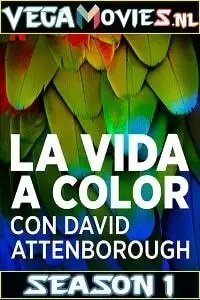 Life in colour - vegamovies, VegaMoviesv.com