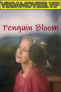 Penguin bloom 2020 - vegamovies, VegaMoviesv.com