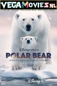 Polar bear 2022 - vegamovies, VegaMoviesv.com