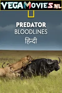 Predator bloodlines 2021 - vegamovies, VegaMoviesv.com