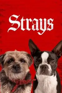 Strays 2023 english - vegamovies, VegaMoviesv.com