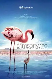 The crimson wing mystery of the flamingos - vegamovies, VegaMoviesv.com