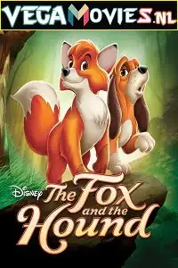 The fox and the hound 1981 - vegamovies, VegaMoviesv.com