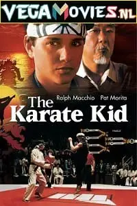 The karate kid 1984 1 - vegamovies, VegaMoviesv.com