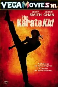 The karate kid 2010 hindi - vegamovies, VegaMoviesv.com
