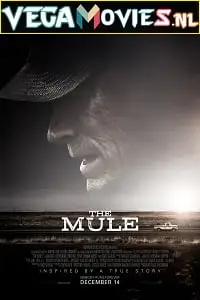 The mule - vegamovies, VegaMoviesv.com