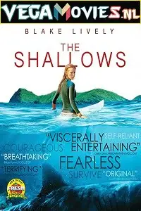 The shallows 2016 720p hevc bluray - vegamovies, VegaMoviesv.com