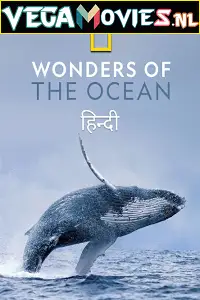 Wonders of the ocean 2021 - vegamovies, VegaMoviesv.com