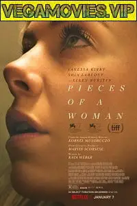 Man - vegamovies, VegaMoviesv.com
